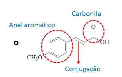 Substâncias utilizadas em protetores solares - Resposta letra a