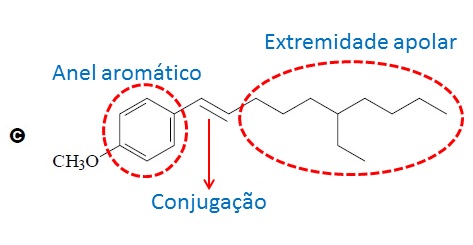 O uso de protetores solares - Resposta letra c