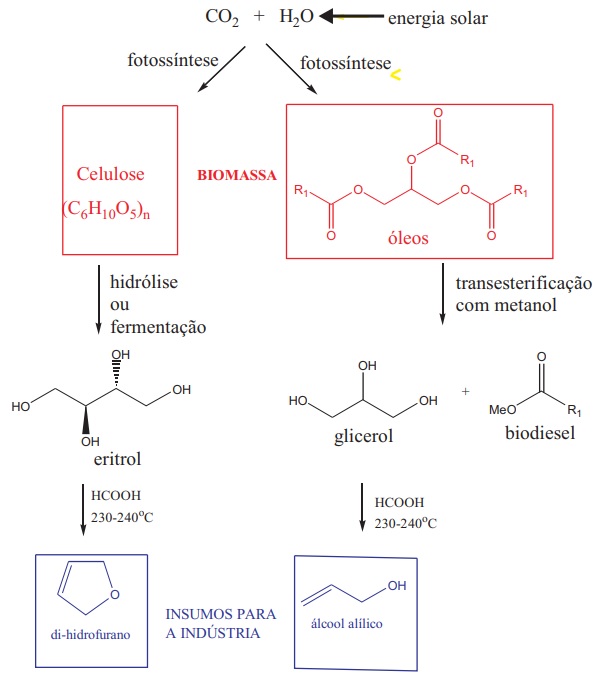 Os triglicerídeos (óleos) fazem parte da biomassa e são comumente conhecidos por produzir biodiesel