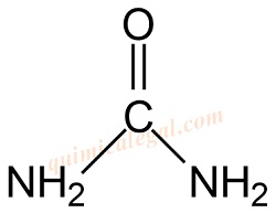 A ureia, um dos produtos de excreção do nitrogênio